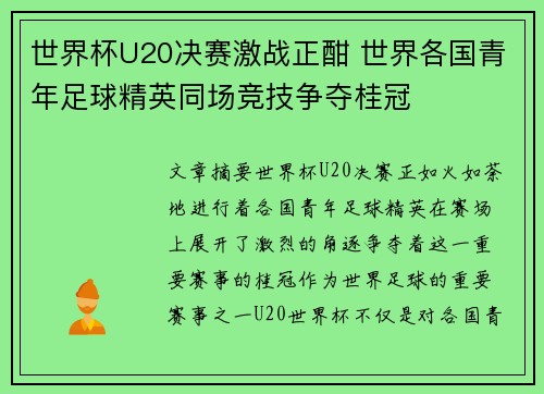 世界杯U20决赛激战正酣 世界各国青年足球精英同场竞技争夺桂冠